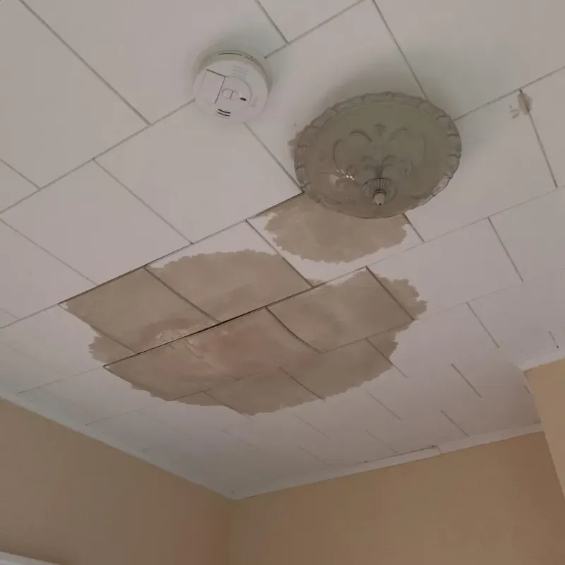 Ceiling Water Damage Repair in Lansdale, PA