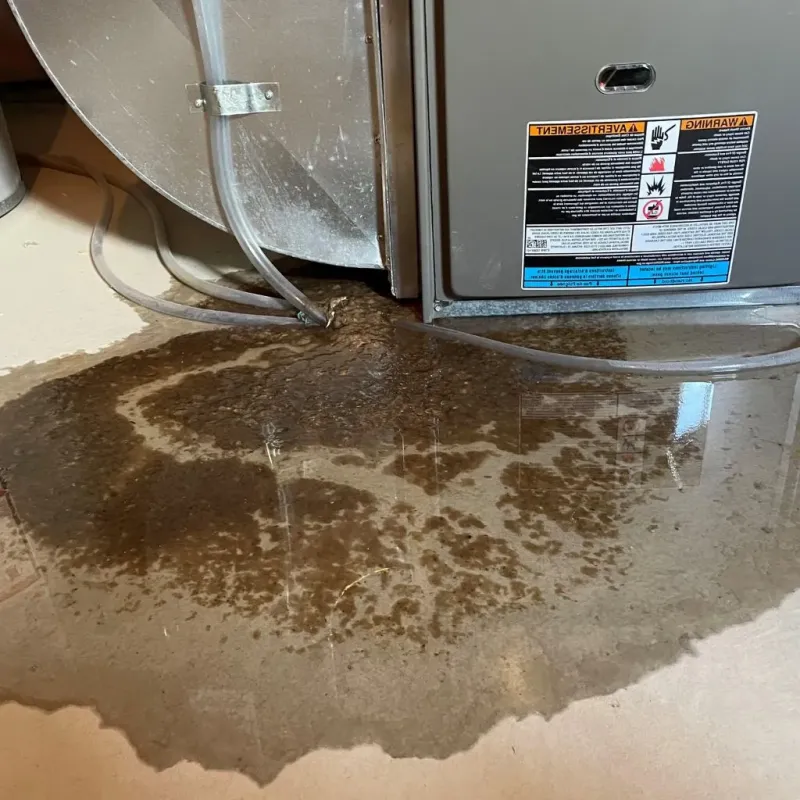 Pipe Burst and Leak Restoration in Lansdale, PA